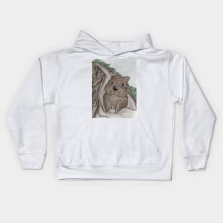 Curious Wombat Kids Hoodie